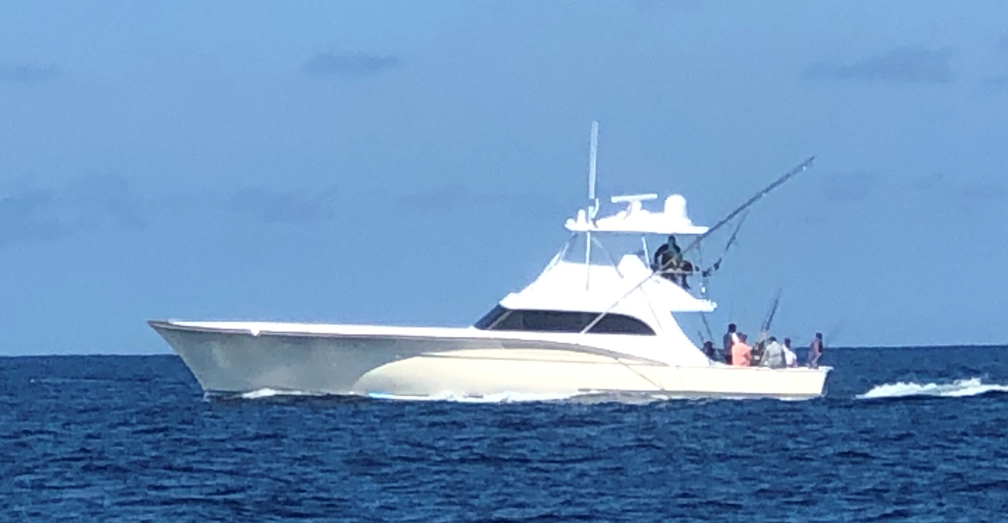 RoShamBo profile view